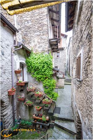 Apri Galleria Immagini
