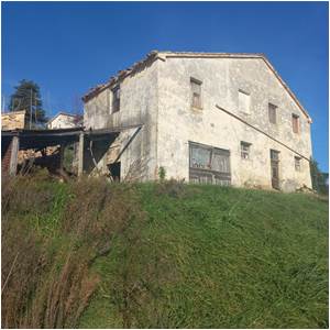 Apri Galleria Immagini